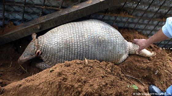  ���� ��� 8 -  ���� ����� ������ ��� ����� ������