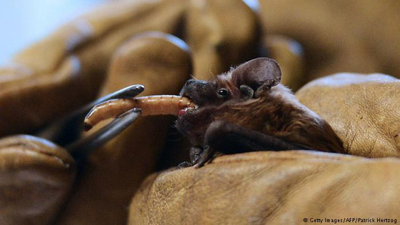  ���� ��� 9 -  ���� ����� ������ ��� ����� ������