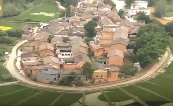 عمل فني مدهش للرسم باستخدام الزهور.. فيديو وصور صورة رقم 5