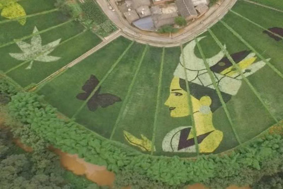 عمل فني مدهش للرسم باستخدام الزهور.. فيديو وصور صورة رقم 3