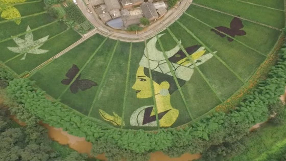 عمل فني مدهش للرسم باستخدام الزهور.. فيديو وصور صورة رقم 7