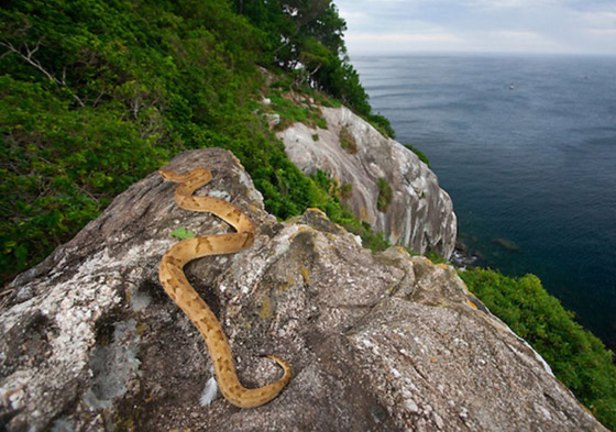 بالصور.. هذه المناطق محرمة على الزائرين حول العالم صورة رقم 2