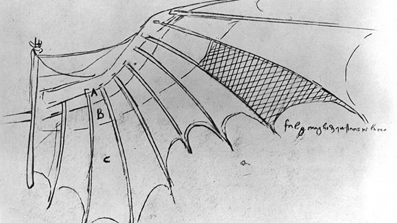 صور: إليكم 7 من أشهر اختراعات وأحلام الرسام الإيطالي الشهير ليوناردو دافنشي صورة رقم 2