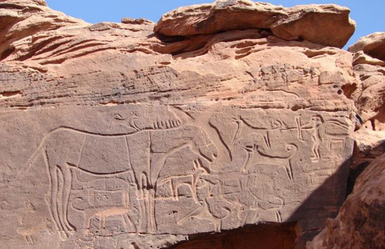 صور أبرز وأهم الأماكن التاريخية والمعالم السياحية في السعودية صورة رقم 6