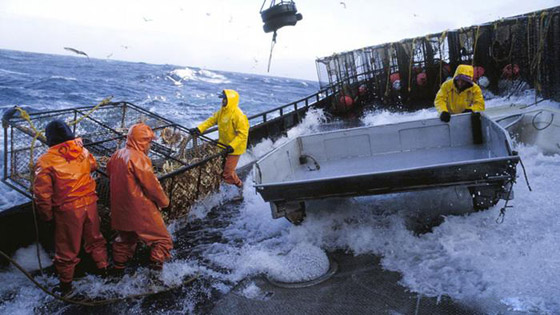 تعرفوا على 8 من أخطر المهن وأصعبها والتي قد تعرض حياتك للخطر! صورة رقم 6