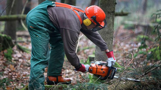 تعرفوا على 8 من أخطر المهن وأصعبها والتي قد تعرض حياتك للخطر! صورة رقم 8