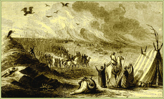 أغرب حقائق عن ملوك الفراعنة.. لم تسمعوا بها من قبل  صورة رقم 7