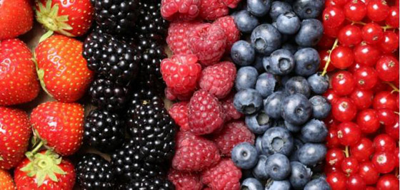  ���� ��� 4 -  ������ ��� ���� �����.. ���� ����� ����� ������� 