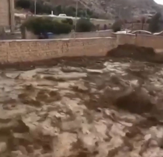 الكارثة تتجدد: ارتفاع عدد الضحايا وإجلاء الآلاف جراء السيول والأمطار في الأردن صورة رقم 17 الكارثة تتجدد: ارتفاع عدد الضحايا وإجلاء الآلاف جراء السيول والأمطار في الأردن صورة رقم 17
