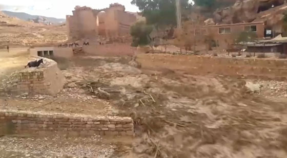 الكارثة تتجدد: ارتفاع عدد الضحايا وإجلاء الآلاف جراء السيول والأمطار في الأردن صورة رقم 19 الكارثة تتجدد: ارتفاع عدد الضحايا وإجلاء الآلاف جراء السيول والأمطار في الأردن صورة رقم 19