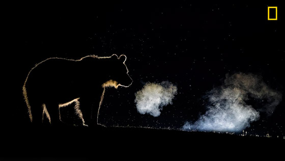 أفضل الصور الرائعة في مسابقة ناشيونال جيوغرافيك لعام 2018 صورة رقم 9