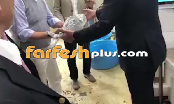 فيديو مذهل.. سمكة مجمدة تعود إلى الحياة بعد وضعها في الماء الدافئ! صورة رقم 5