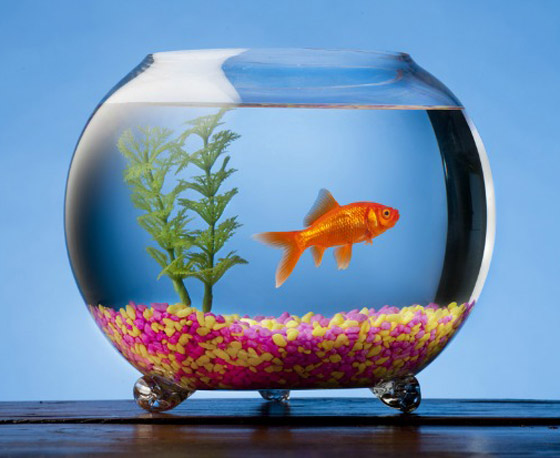 تعرفوا على أغرب القوانين الغير اعتيادية التي تطبق في إيطاليا..! صورة رقم 3