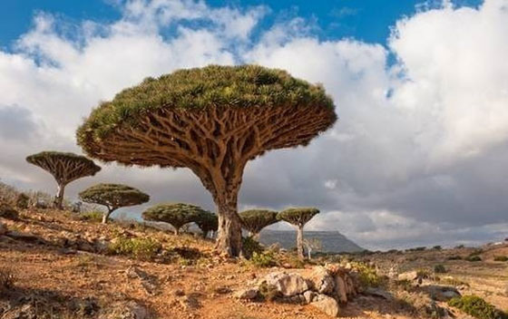 صور جزر تاريخها يخبئ أسرارا ومغامرات صورة رقم 10