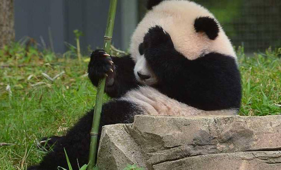 هذه المعالم السياحية لا يسمح فيها بالتقاط الصور.. صورة رقم 4