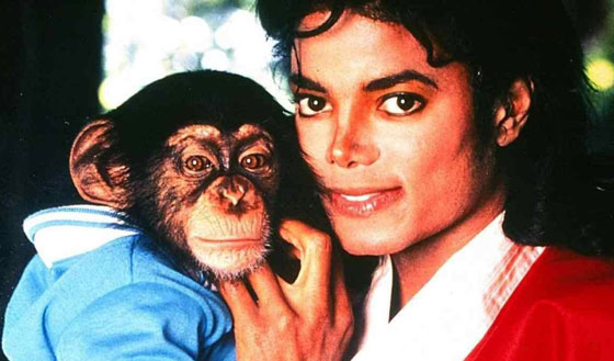  أبرز وأشهر الحيوانات التي صنعت ملايين الدولارات صورة رقم 3