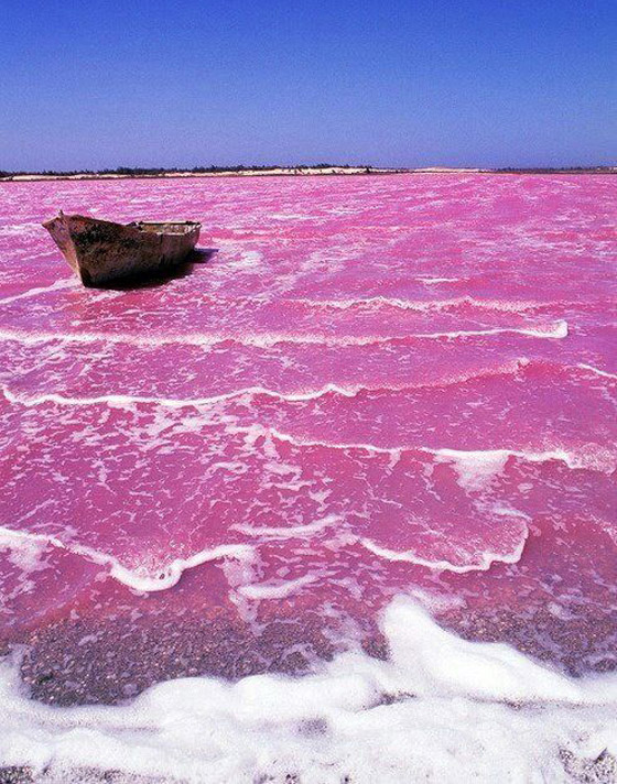 بالصور: أبرز وأجمل البحيرات الوردية حول العالم.. ما سبب تغير لونها؟ صورة رقم 1