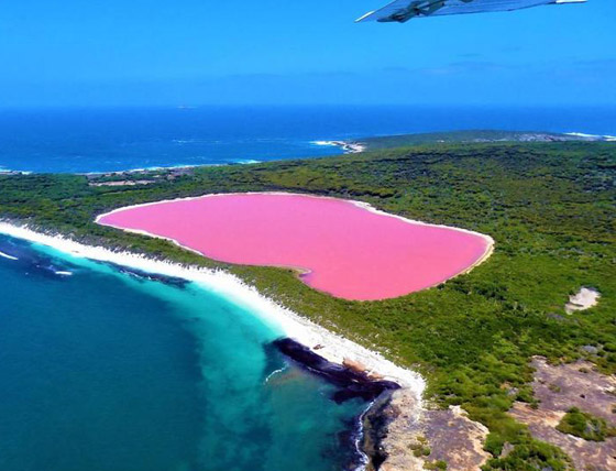 بالصور: أبرز وأجمل البحيرات الوردية حول العالم.. ما سبب تغير لونها؟ صورة رقم 5