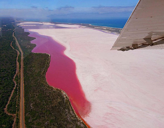 بالصور: أبرز وأجمل البحيرات الوردية حول العالم.. ما سبب تغير لونها؟ صورة رقم 6