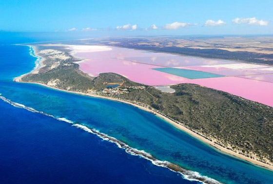 بالصور: أبرز وأجمل البحيرات الوردية حول العالم.. ما سبب تغير لونها؟ صورة رقم 7