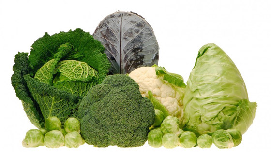 أبرز الأطعمة التي تكافح السرطان.. لا تتردّدوا بتناولها! صورة رقم 6