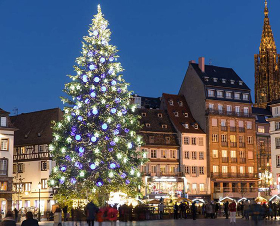 صور رائعة.. أجمل أشجار الميلاد حول العالم صورة رقم 7