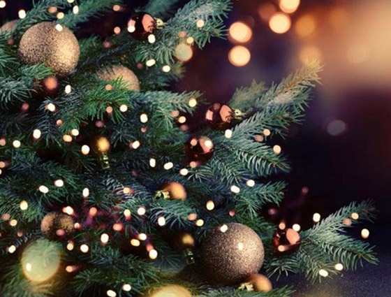 هل تعرفون كيف بدأت شجرة الكريسماس؟ تعرفوا إلى حكاية شجرة الميلاد صورة رقم 1 هل تعرفون كيف بدأت شجرة الكريسماس؟ تعرفوا إلى حكاية شجرة الميلاد صورة رقم 1