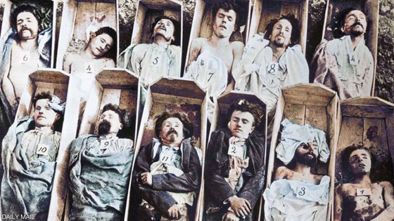  ���� ��� 3 -  ��� ������� ����� �� ������� ������ �� ���