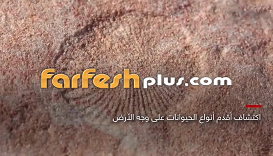بالفيديو.. إليكم أبرز الاكتشافات حول العالم خاصة الدول العربية في 2018 صورة رقم 1