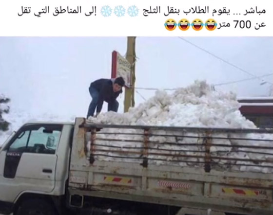 العاصفة نورما تفجر موجة من النكات.. فيديو وصور صورة رقم 2