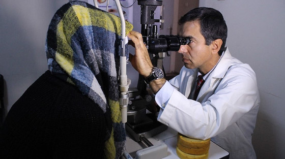 بالفيديو والصور.. القطط تتسبب في فقدان بصر تركيتين صورة رقم 2
