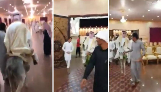 بالفيديو.. عريس يدخل لقاعة الزفاف بطريقة طريفة صورة رقم 1