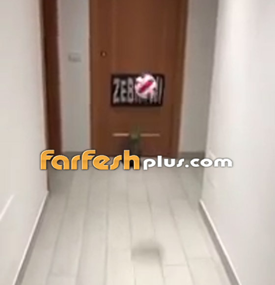 القط الجيجي.. أفضل حارس مرمى في العالم! لن تصدق مهاراته! صورة رقم 2