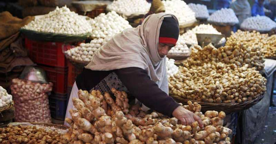  15 فائدة طبية مدهشة لهذه النبتة السحرية صورة رقم 8