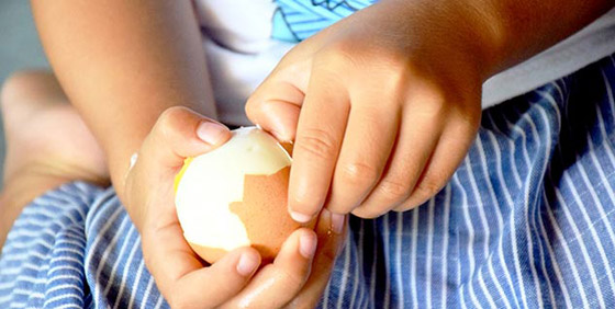بيضة واحدة يوميًا تحميك من هذا المرض... صورة رقم 4