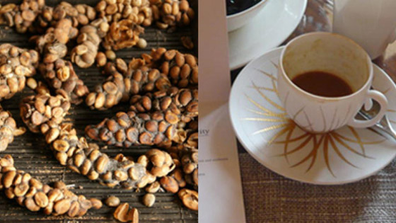  ���� ��� 2 - ������ ��� ���� 10 ������� �� ������..