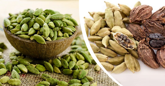  الهيل (الحبهان) يعالج 7 أمراض بينها تجلط الدم، نزلات البرد والسرطان  صورة رقم 2