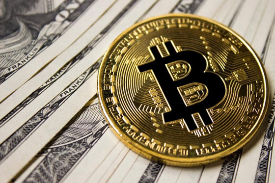 ملايين الدولارات ضاعت على مئات العرب والسر دفنوه مع هذا الكندي! صورة رقم 11 ملايين الدولارات ضاعت على مئات العرب والسر دفنوه مع هذا الكندي! صورة رقم 11