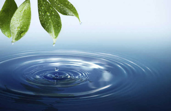 احذروا.. 6 أطعمة صحية تصبح مضرة عند الإسراف في تناولها! صورة رقم 6 احذروا.. 6 أطعمة صحية تصبح مضرة عند الإسراف في تناولها! صورة رقم 6