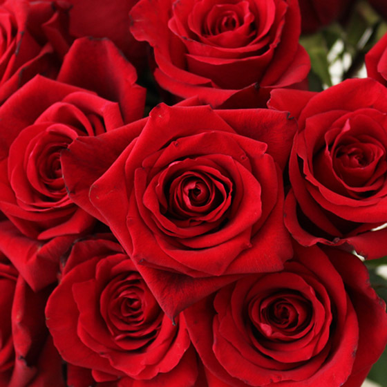 تعرفوا إلى الألوان ودلالاتها وتفسيرها في الأحلام صورة رقم 1 تعرفوا إلى الألوان ودلالاتها وتفسيرها في الأحلام صورة رقم 1