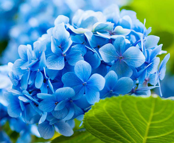 تعرفوا إلى الألوان ودلالاتها وتفسيرها في الأحلام صورة رقم 2 تعرفوا إلى الألوان ودلالاتها وتفسيرها في الأحلام صورة رقم 2