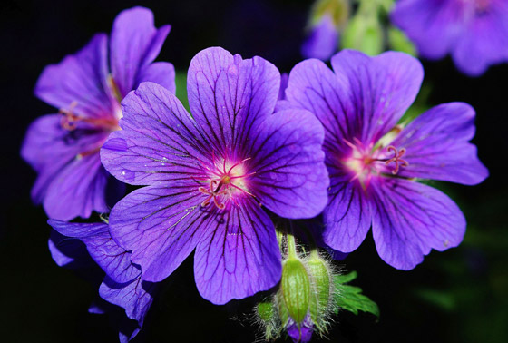 تعرفوا إلى الألوان ودلالاتها وتفسيرها في الأحلام صورة رقم 8 تعرفوا إلى الألوان ودلالاتها وتفسيرها في الأحلام صورة رقم 8