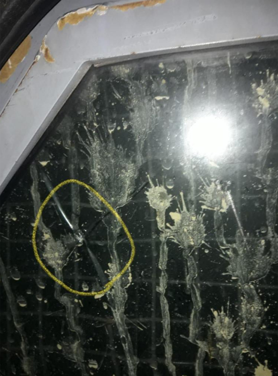 الأردن: بعد مقتل شاب عشريني، اشتباكات بالرصاص الحي بين الشرطة والمواطنين صورة رقم 19 الأردن: بعد مقتل شاب عشريني، اشتباكات بالرصاص الحي بين الشرطة والمواطنين صورة رقم 19