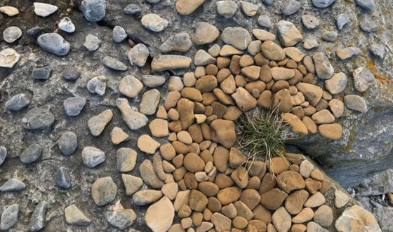  بالصور: فن تنسيق الأحجار الرائع .. يتحدى الجاذبية صورة رقم 12