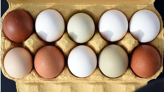 هذه الأطعمة على الرجال تناولها باستمرار... صورة رقم 1