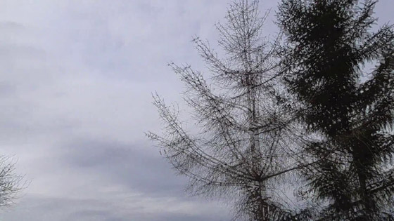 ظاهرة غريبة: صوت بوق صاخب يصم الآذان مصحوب بسحب غريبة! صورة رقم 1