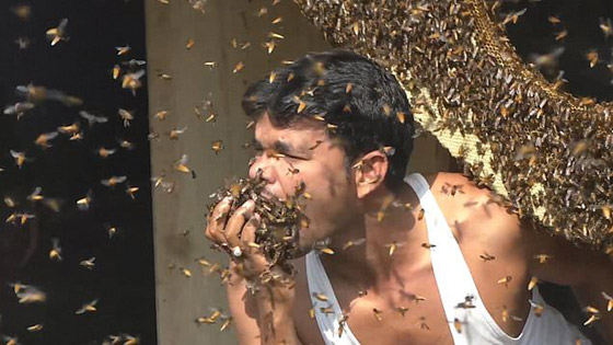 فيديو صادم.. هندي يدخل رأسه بقرص عسل ويحشو النحل حيا في فمه! صورة رقم 7