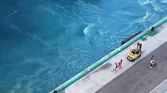عروسان يتأخران عن موعد انطلاق سفينتهما في شهر عسلهما فيحصل الكابوس! صورة رقم 5