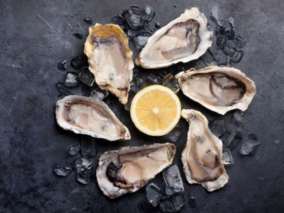  ���� ��� 3 - ������: ����� ����� ������� ������ ���� ��� ���� �����