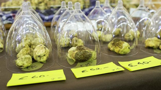  ���� ��� 4 - ������: ����� ����� ������� ������ ���� ��� ���� �����